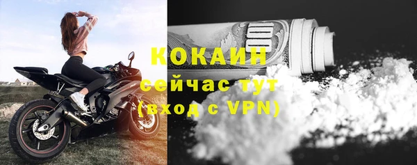 прущие грибы Аркадак