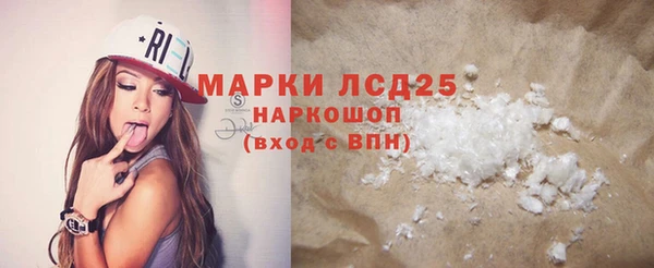 прущие грибы Аркадак