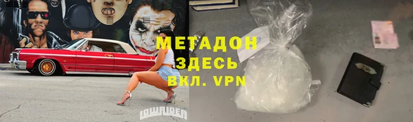 прущие грибы Аркадак