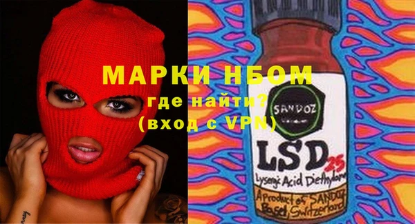 прущие грибы Аркадак
