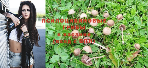 Альфа ПВП Арсеньев