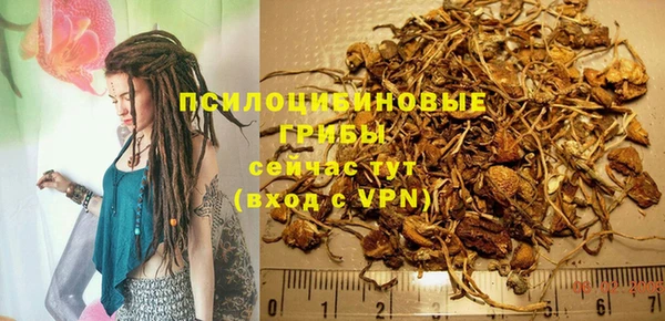 Альфа ПВП Арсеньев