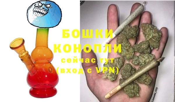 прущие грибы Аркадак