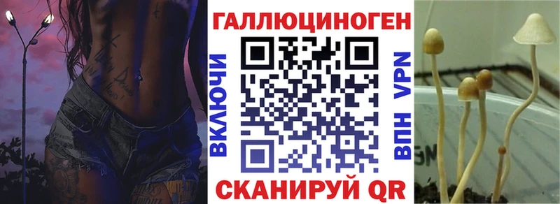 Галлюциногенные грибы мухоморы  купить наркотики цена  Приволжск 